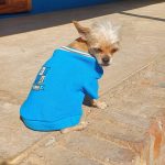 FB_IMG_1592814662026