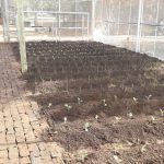 WhatsApp Image 2020-06-19 at 10.09.21